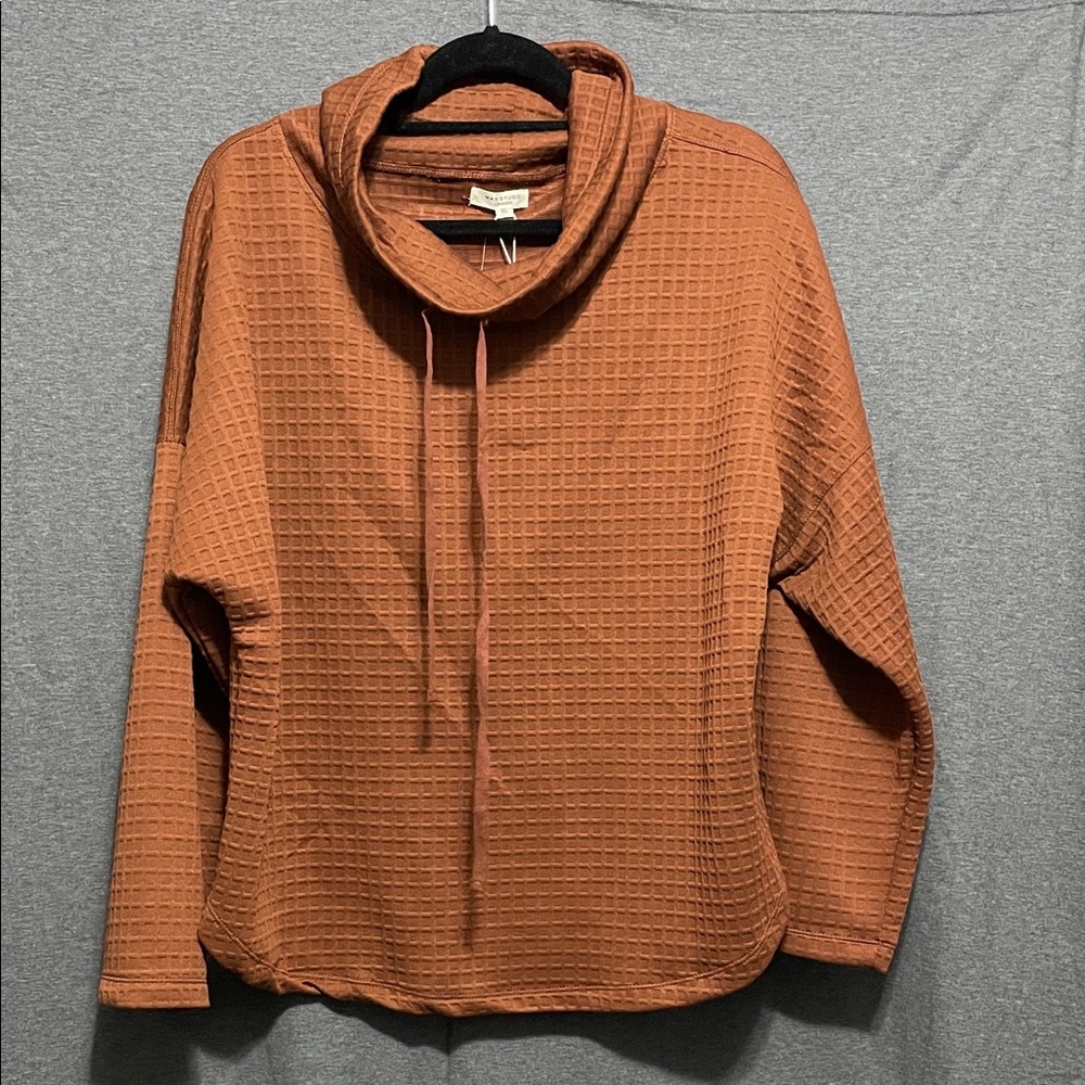 Max Studio Terracotta Cowl Neck Sweater